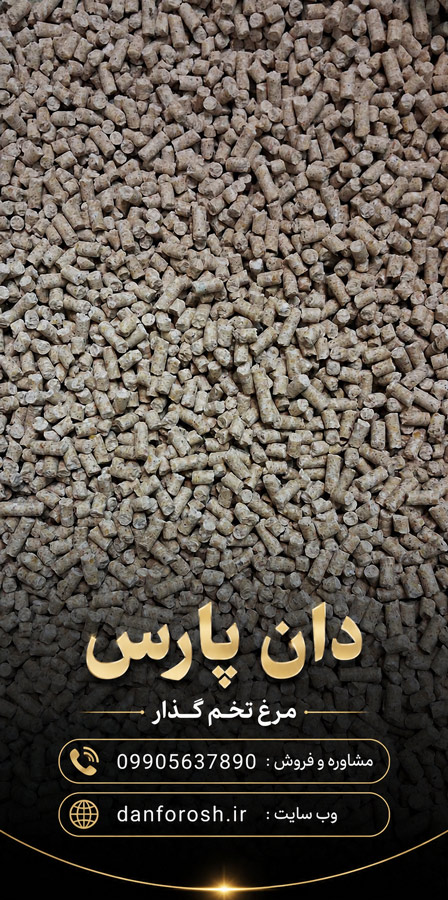 خرید دان پارس مرغ تخم گذار